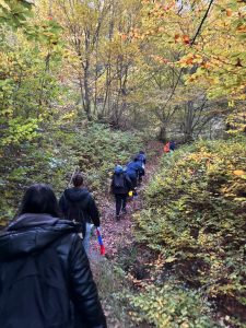 WhatsApp Image 2024-10-26 at 16.05.28