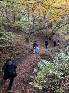 WhatsApp Image 2024-10-26 at 16.05.32