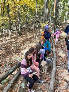 WhatsApp Image 2024-10-26 at 16.25.02 (3)